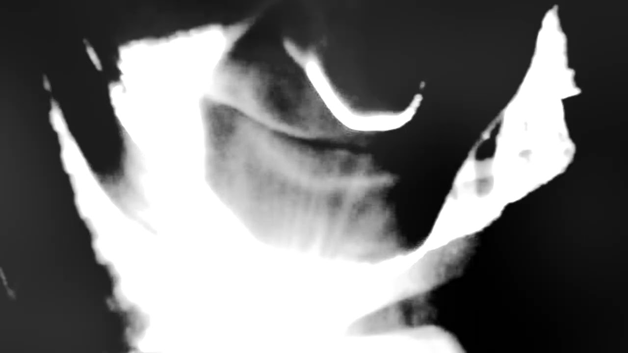 Uber: Abbiocco (2026).