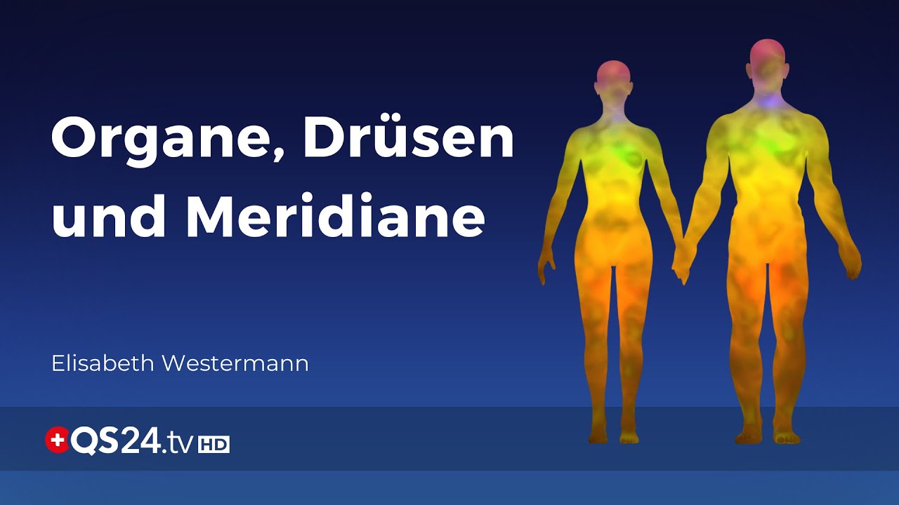 Organe, Drüsen und Meridiane | Der Sinn des Lebens | QS24 Gesundheitsfernsehen
