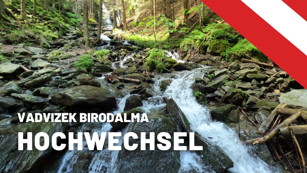 HOCHWECHSEL - Vadvizek birodalma (4K)