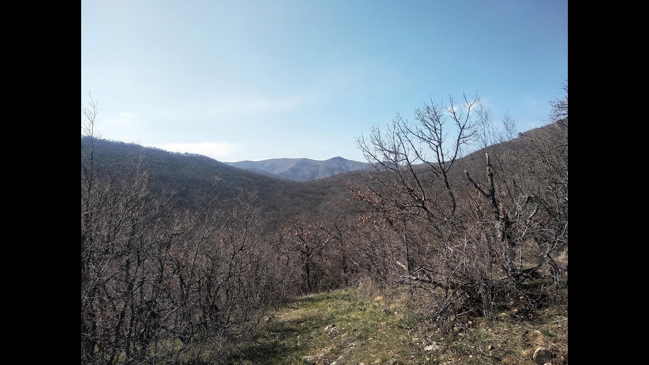 Прогулка по лесу