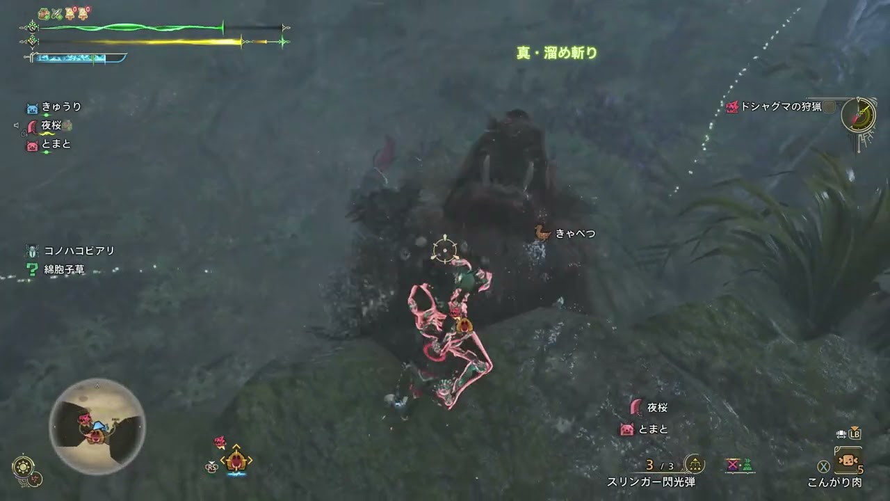 【モンハンワイルズ】ドシャグマ 緋の森 大剣 崖ハメ