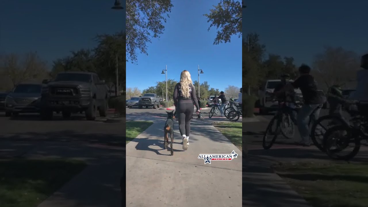 Puppy Doberman Training I Confidence Building I On Leash Obedience Training Phoenix I AllAmerican K9
