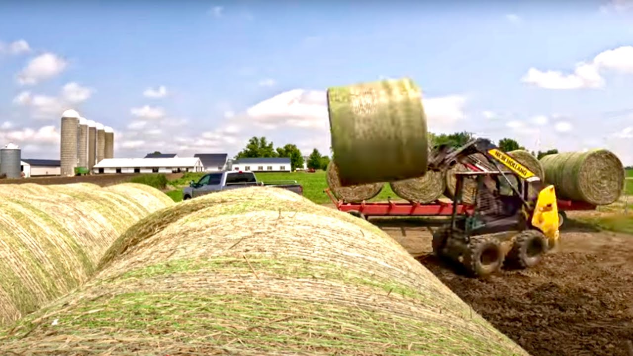 Oh NO! Too Much HAY!