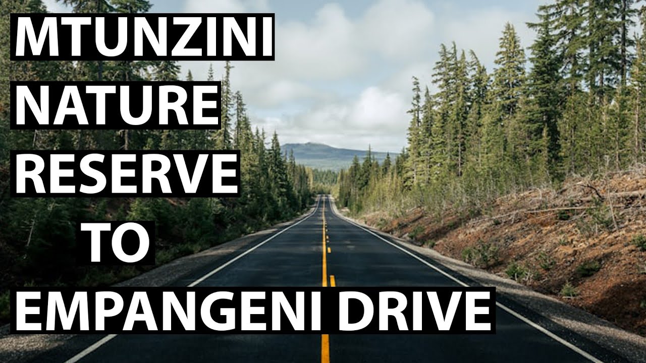 MTUNZINI NATURE RESERVE TO EMPANGENI DRIVE | N2 | KZN | SOUTH AFRICA 