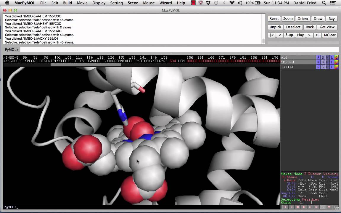 PyMol Lab Assignment