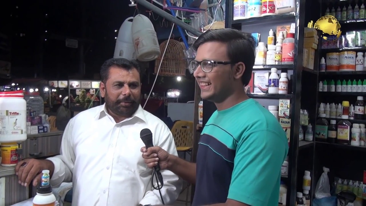 MB Traders Visited Khalid bhai shop Incubator medicine available all about birds and Animals (JAIC)