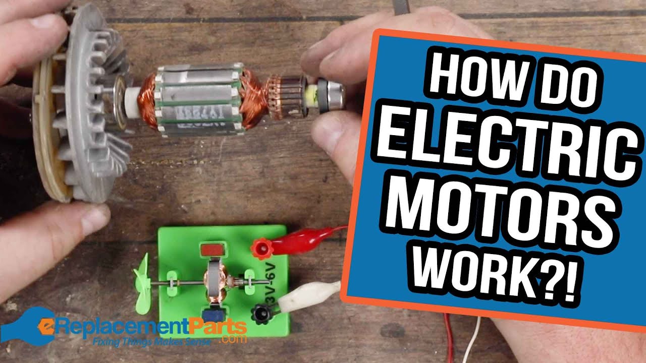 How Do Electric Motors Work? | eReplacementParts.com