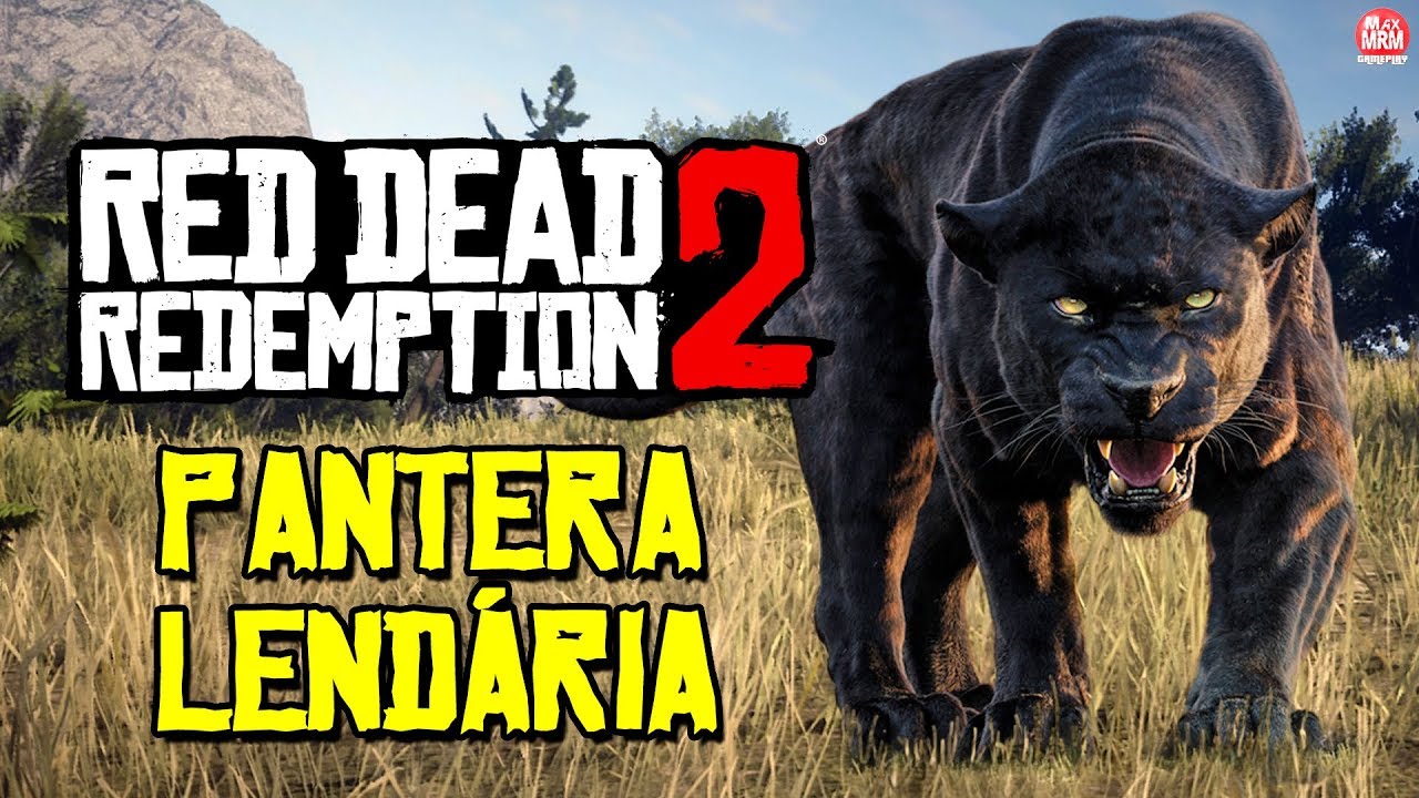 RED DEAD REDEMPTION 2 - CA&Ccedil;ANDO A PANTERA LEND&Aacute;RIA GIAGUARO || ANIMAL MAIS RARO DO JOGO!