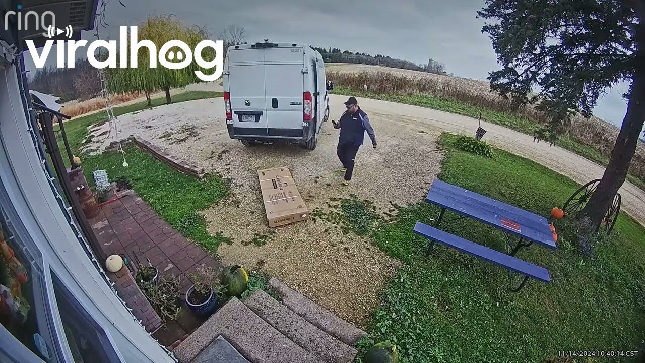 Delivery Driver Smashes And Kicks Package || ViralHog