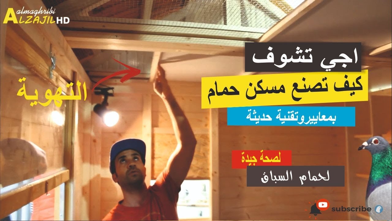السجنة | بيت او مسكن الحمام الزاجل 2020