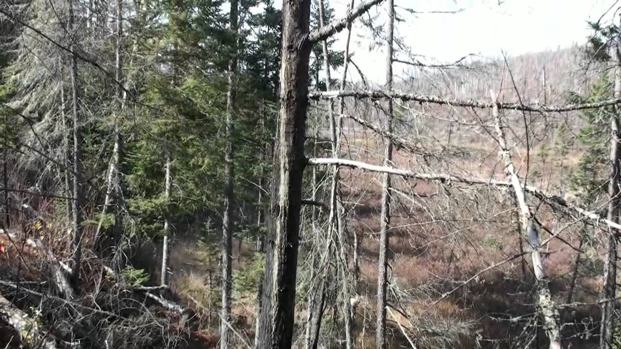 Paulson Mine, Minnesota 2012