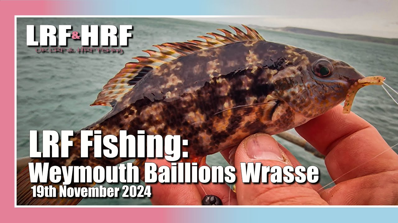LRF Fishing: Weymouth Baillons - 11 Species Session