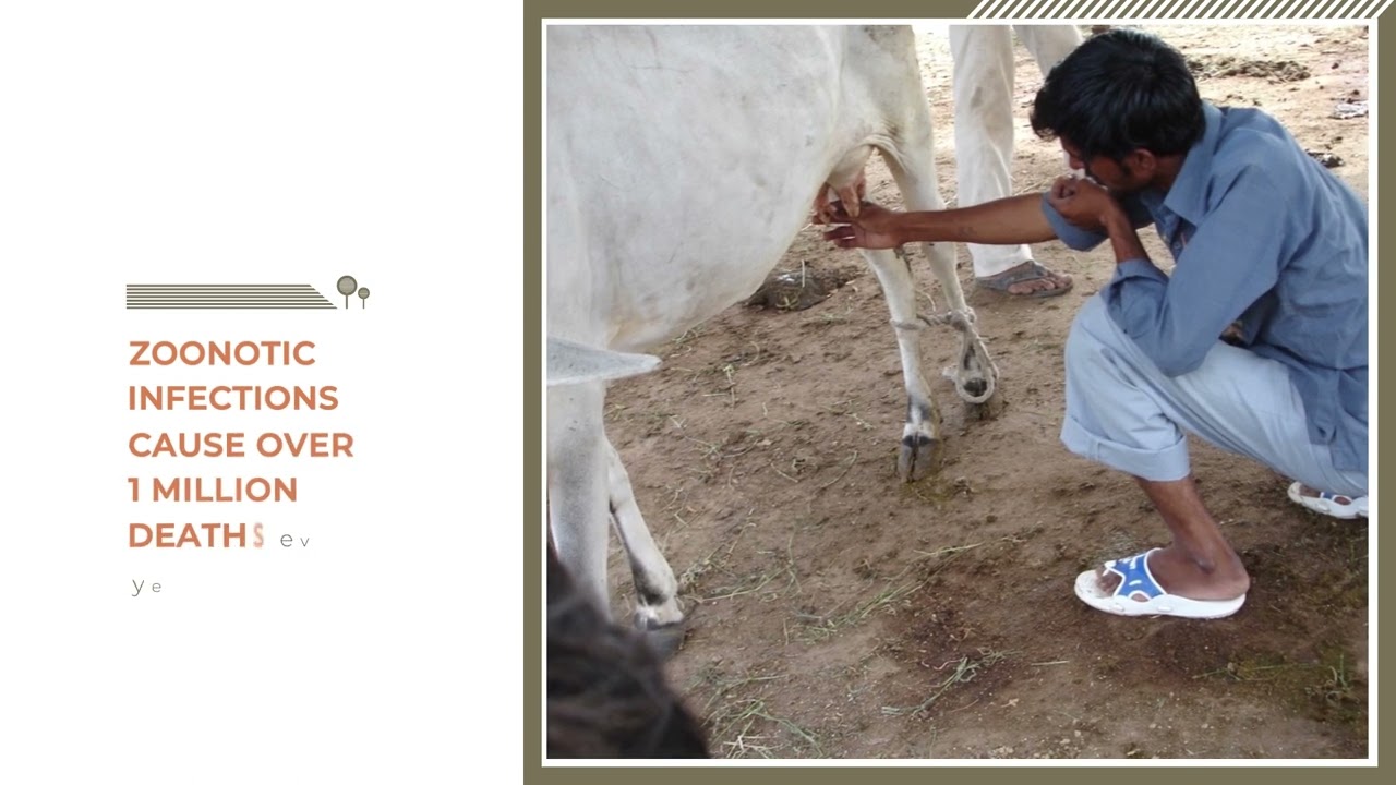One Health - Healthy Animals, Healthy People, Healthy Nations