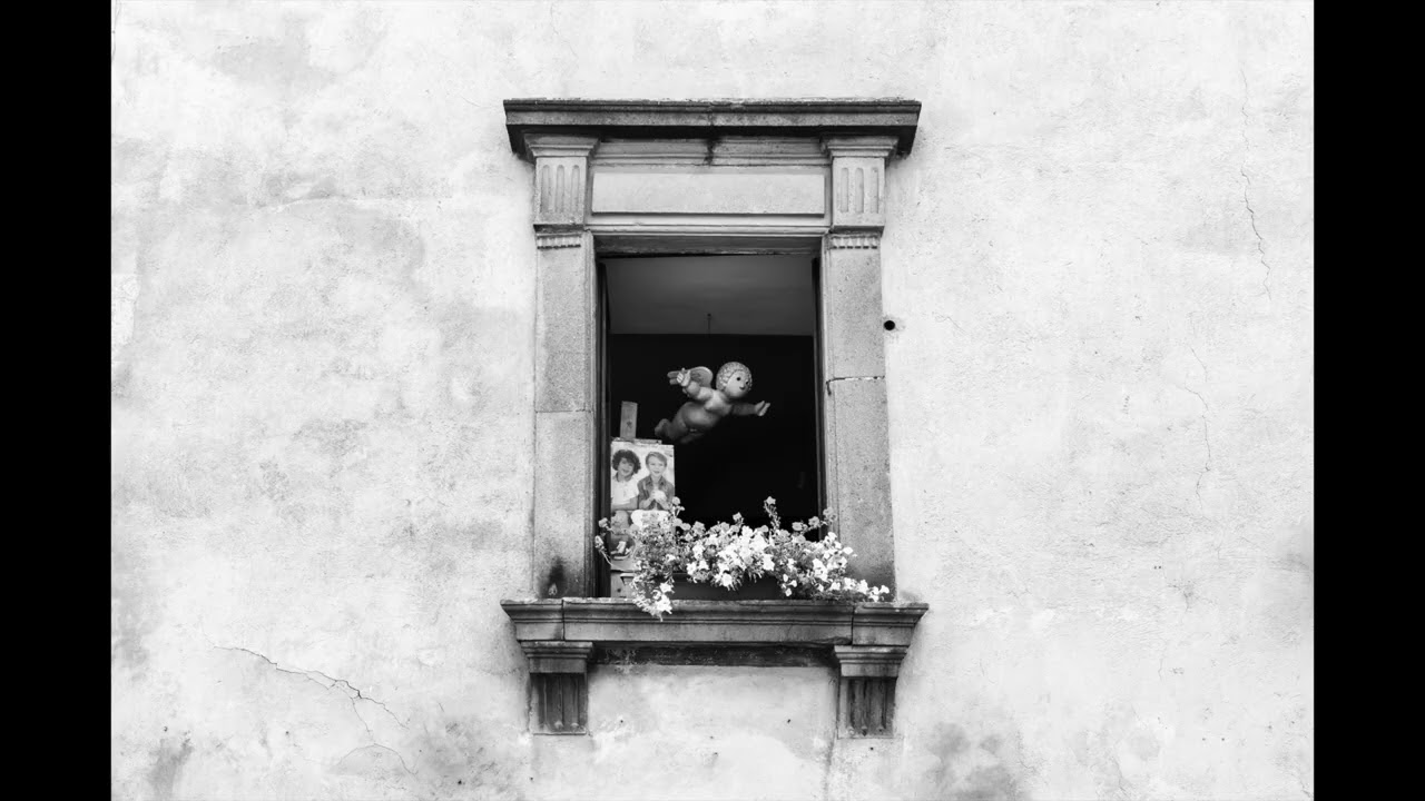 Black & White 56