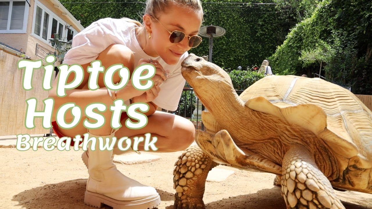 Tiptoe hosts a breath work!