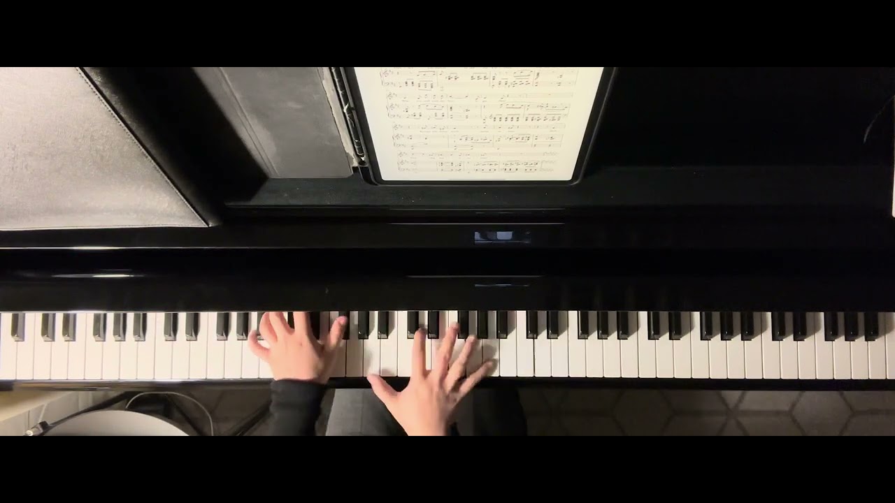 [독일가곡] R. Schumann - Meine Rose op.90, no.2 in G♭ (피아노반주 • piano accompaniment)