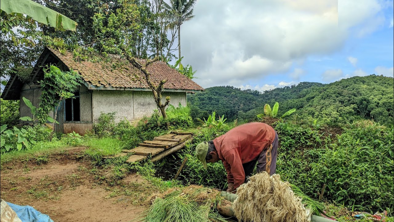 KEHIDUPAN DI KAMPUNG PELOSOK CIAMIS🌿😍