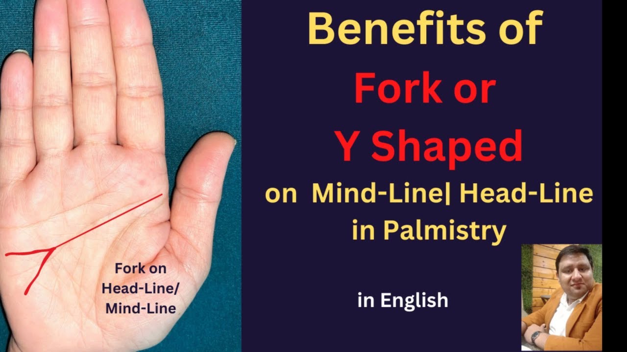 Fork sign on Mind line or Head Line| Y shaped Brain line - Mind Line in Palmistry in English
