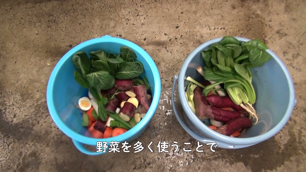 チンパンジーのごはん事情──基本の3食編（飼育の日2021、多摩動物公園）