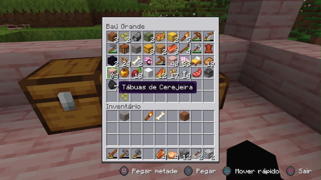 Minecraft_20260216110759