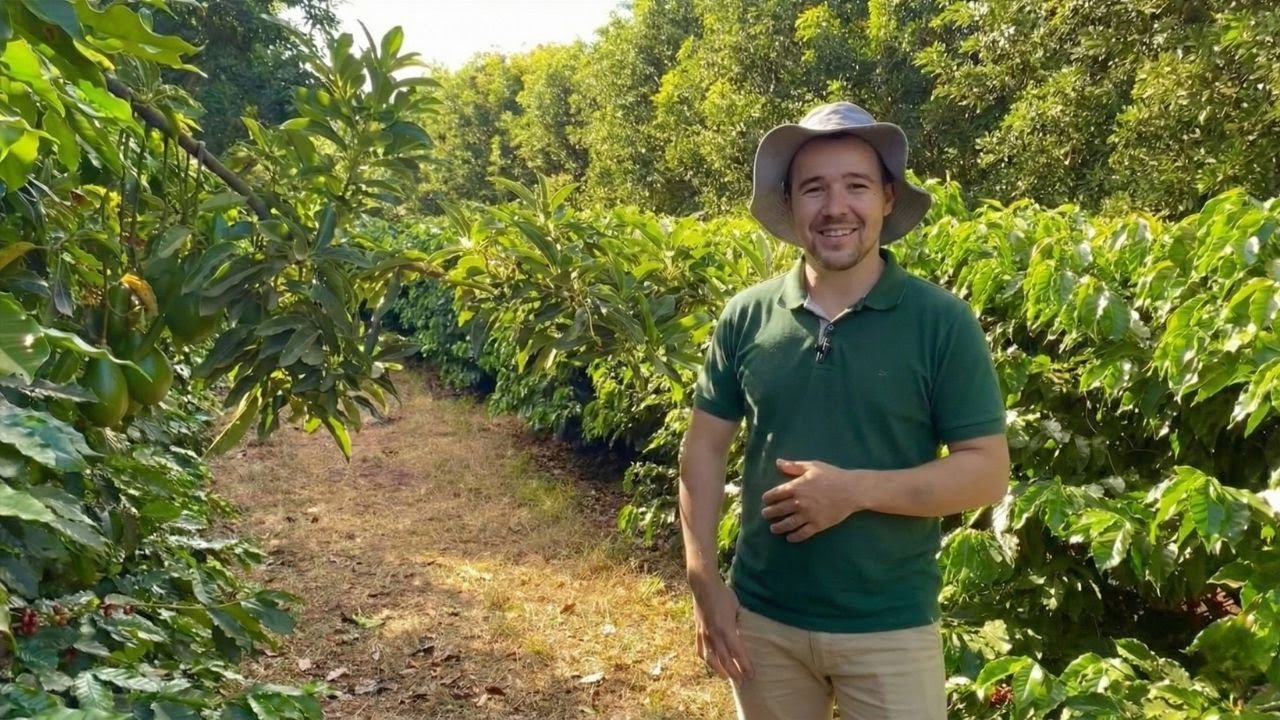 EM PEQUENO SÍTIO ELE VIVE DA PLANTAÇÃO DE ABACATE E CAFÉ