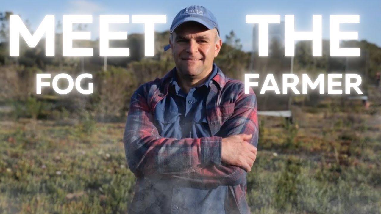 Meet the Fog Farmers of the Atacama Desert