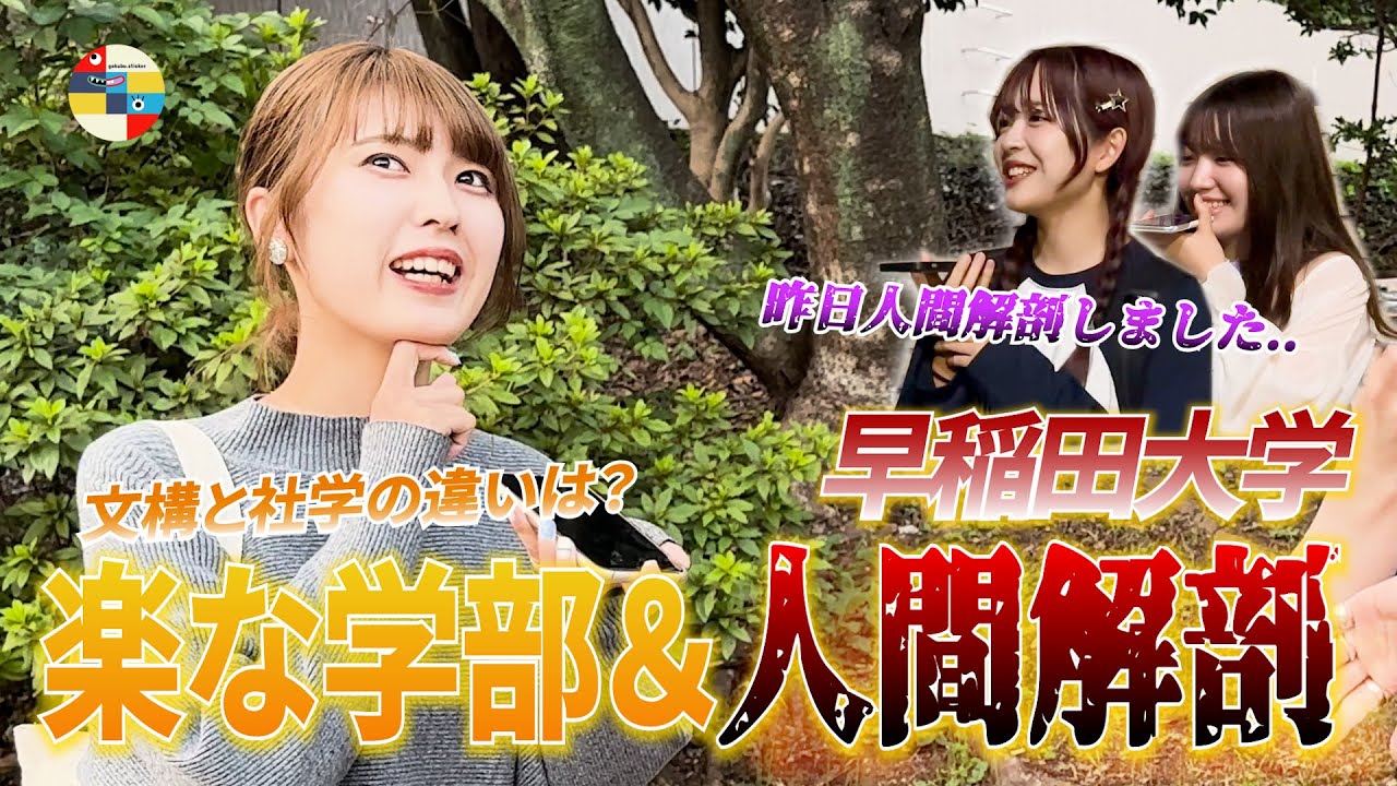 【早稲田大学】1番楽な学部知りたい人必見‼︎ /人間を解剖する学部!? 【文化構想学部/社会科学部/先進理工学部 生命医科学科】