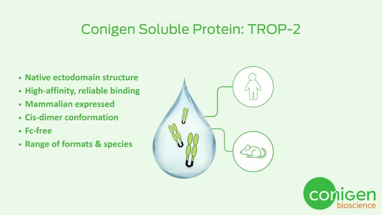 TROP 2 for Modern Oncology Discovery