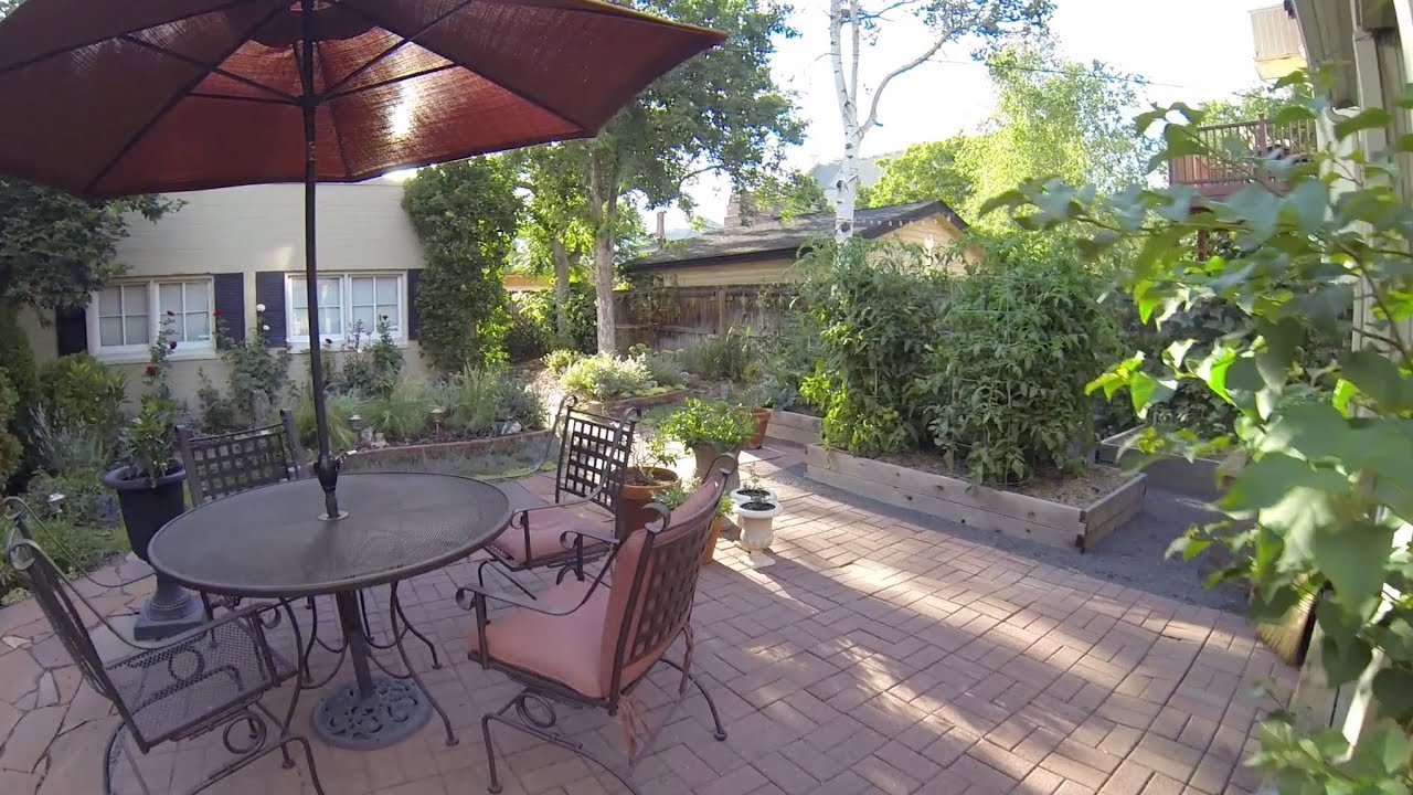 Backyard Organic Garden Pt.2