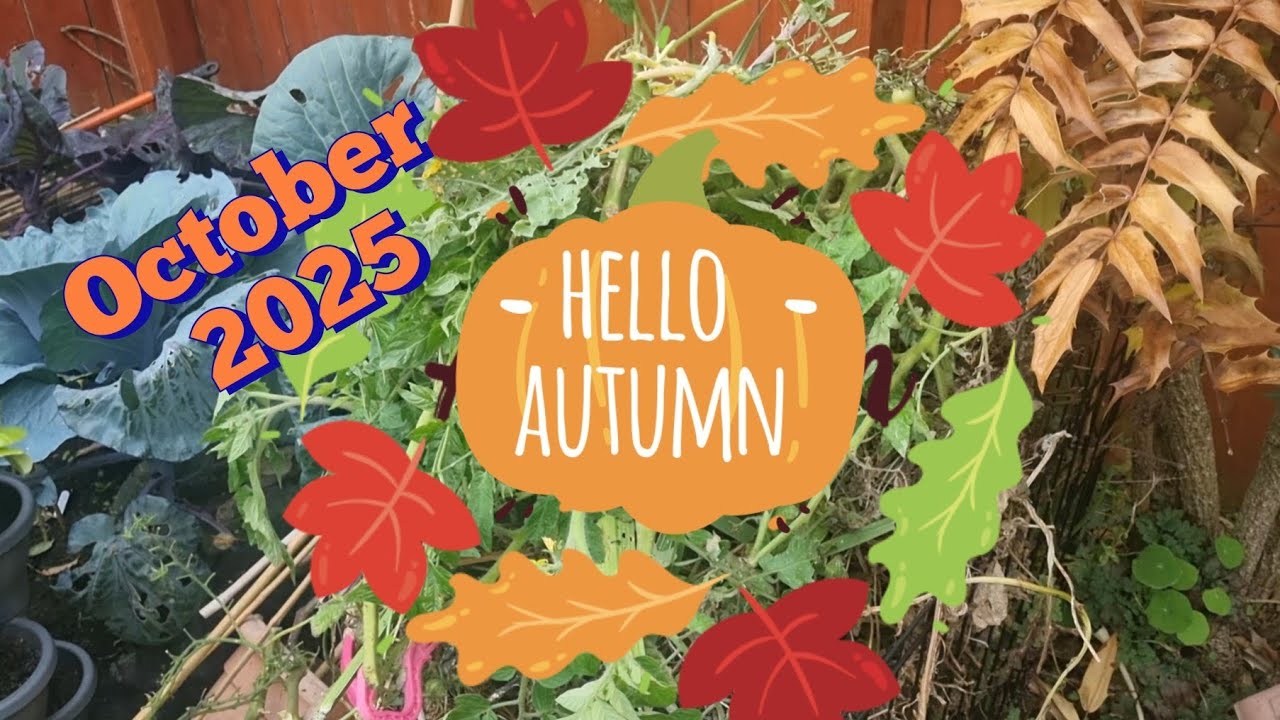 Осень 🍂 Работа в моём маленьком коттеджном саду