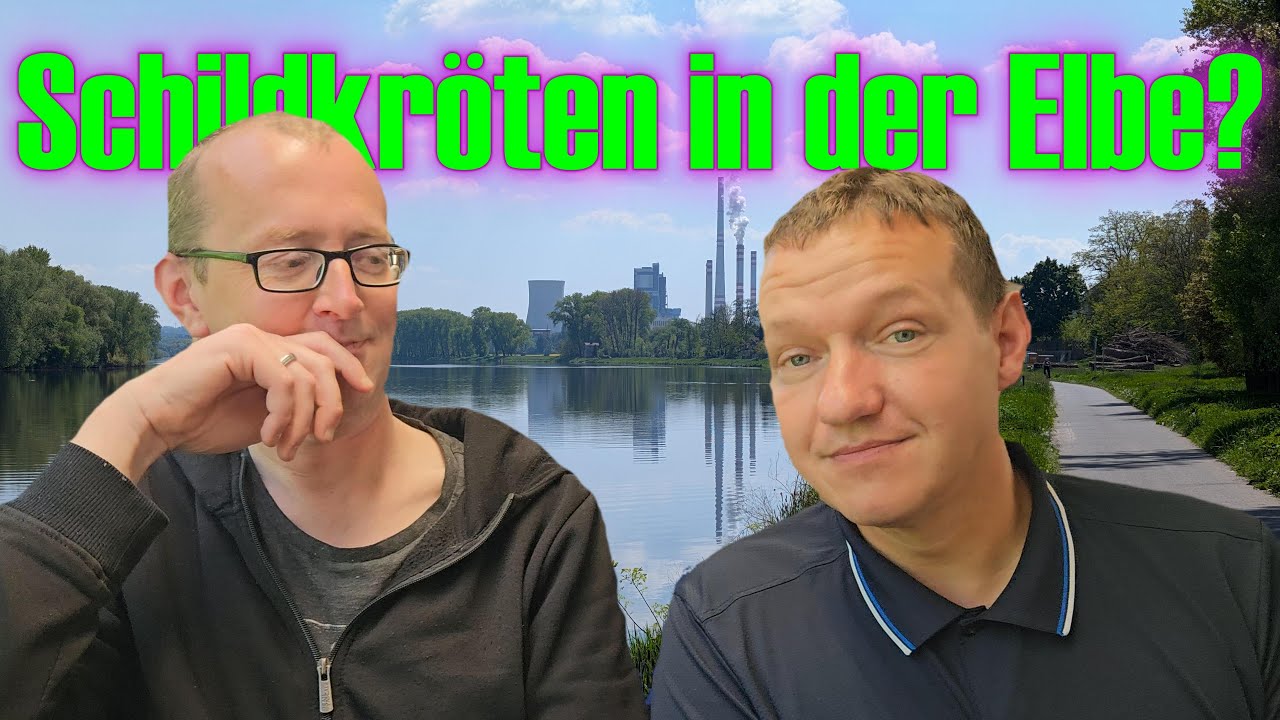 Schildkröten in der Elbe?