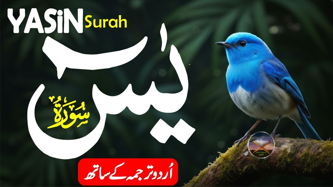 ❤️ ​Surah Yasin with Urdu/Hindi Translation | Remove Worries & Anxiety | Qari Mansoor Ghaznavi