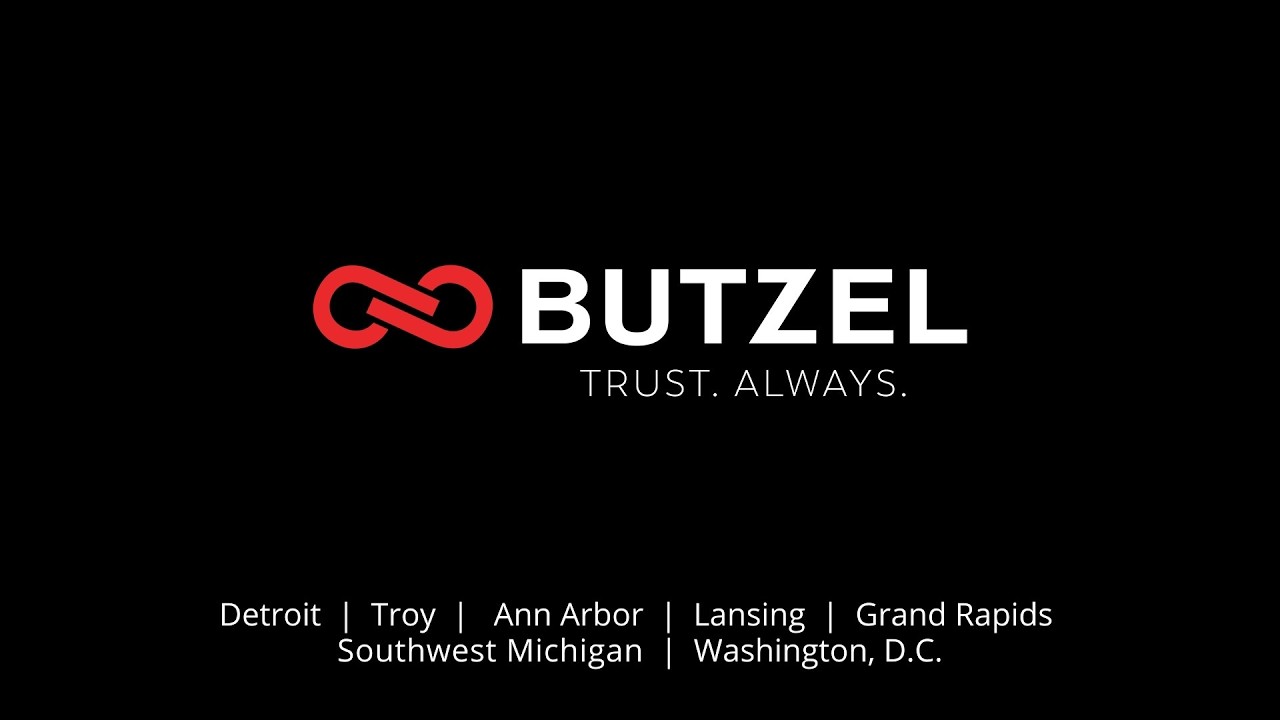 Butzel: Client Testimonial -Technical