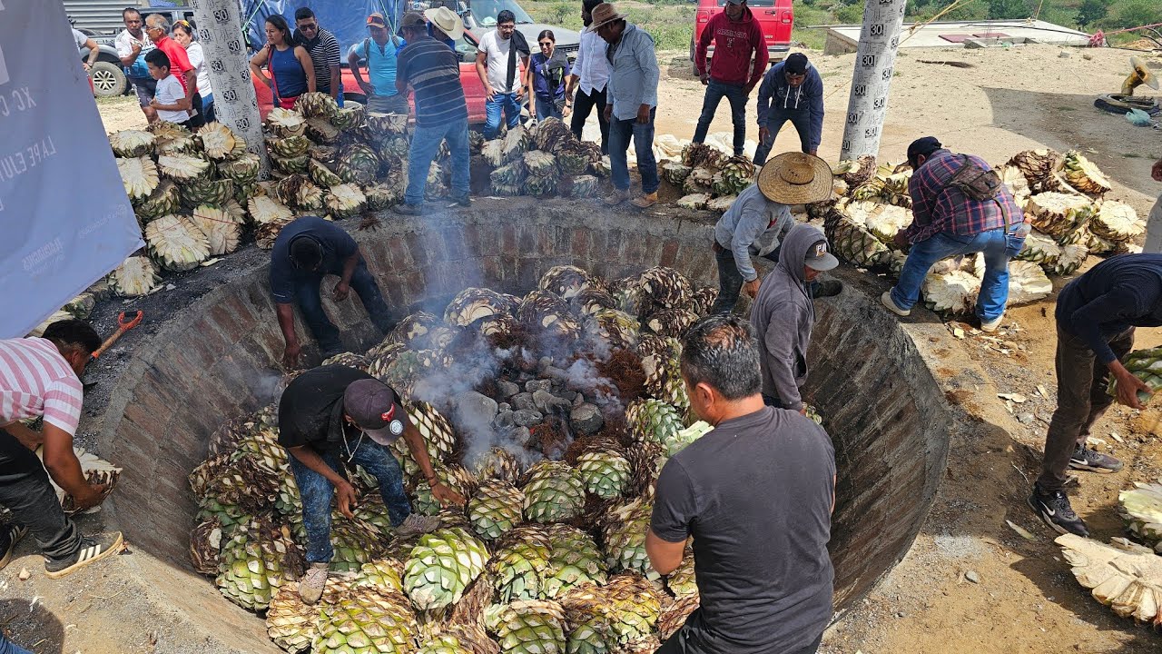¿Conocías el Procesos de Elaboración Del Mezcal Artesanal En Oaxaca México?