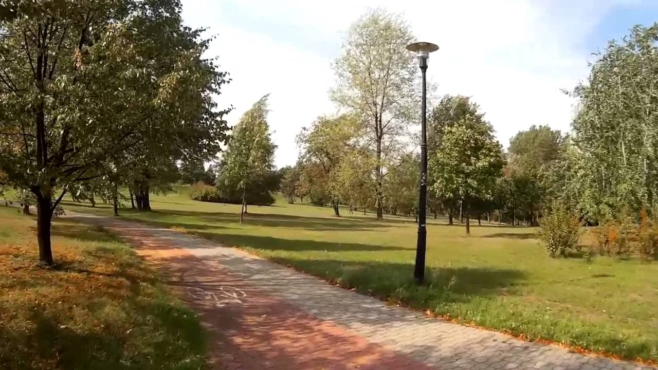 Park Środulski w wietrze