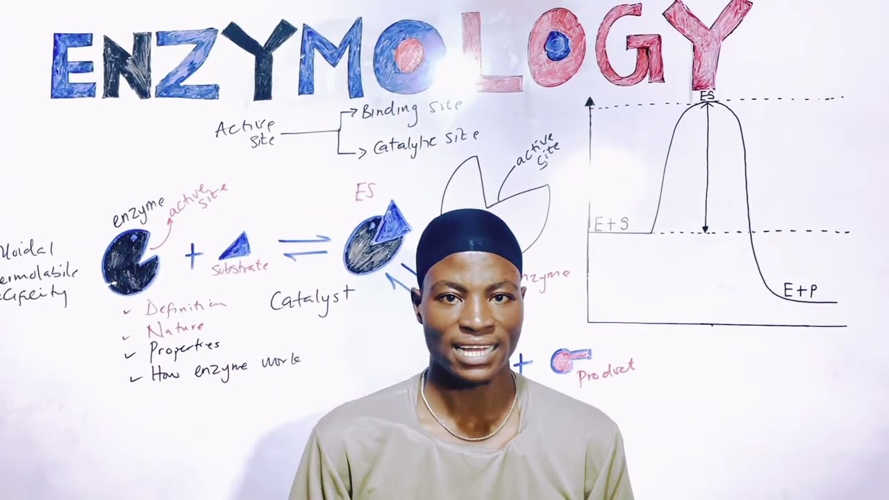 Enzymology Made Simple | Understanding Enzymes Like Never Before!