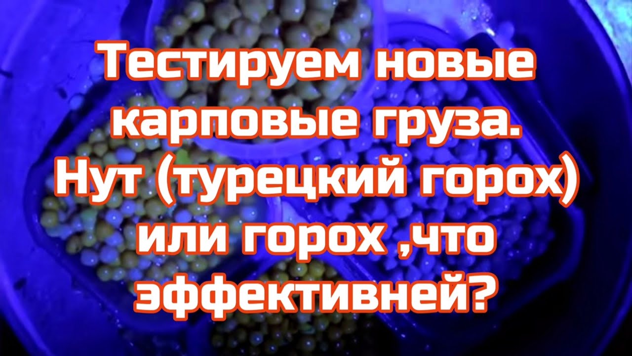Тестируем новые карповые груза.Нут или горох ,что эффективней на карпа.База Белуга
