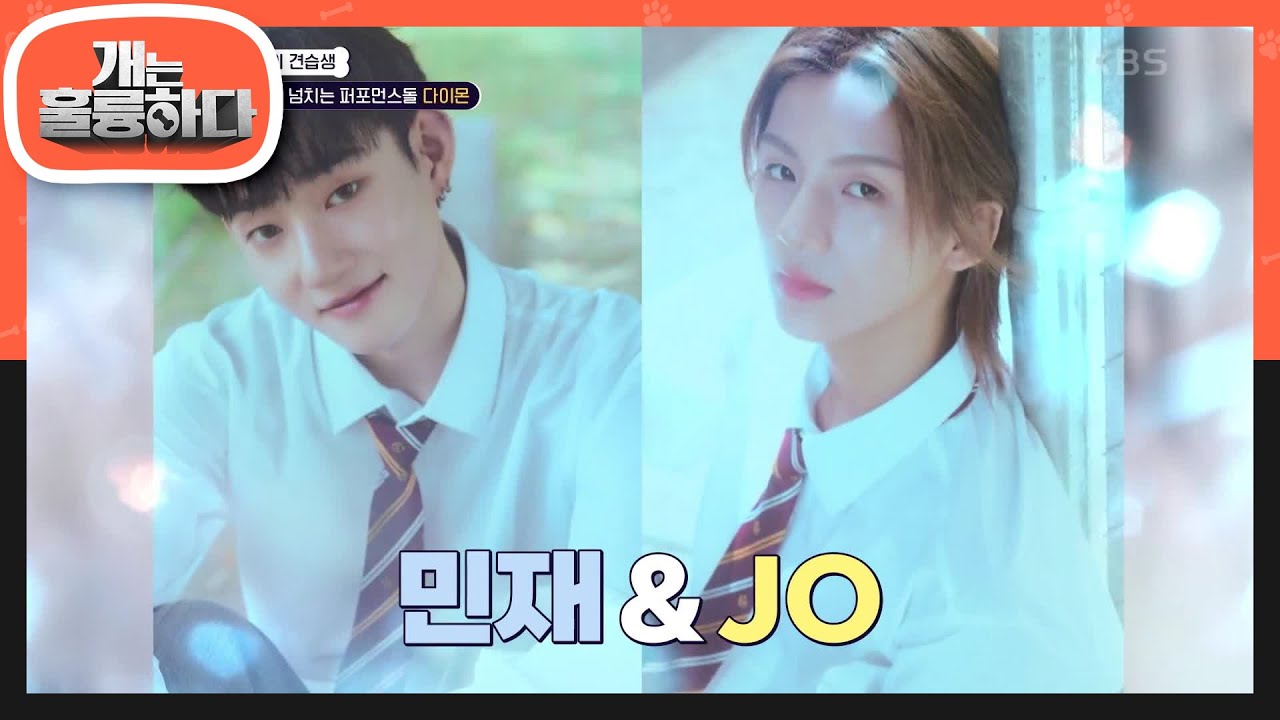 〈개훌륭〉에 일일 인턴으로 찾아온 다이몬의 민재 & Jo😊 제자들과 인턴즈의 임무는? [개는 훌륭하다] | KBS 240617 방송