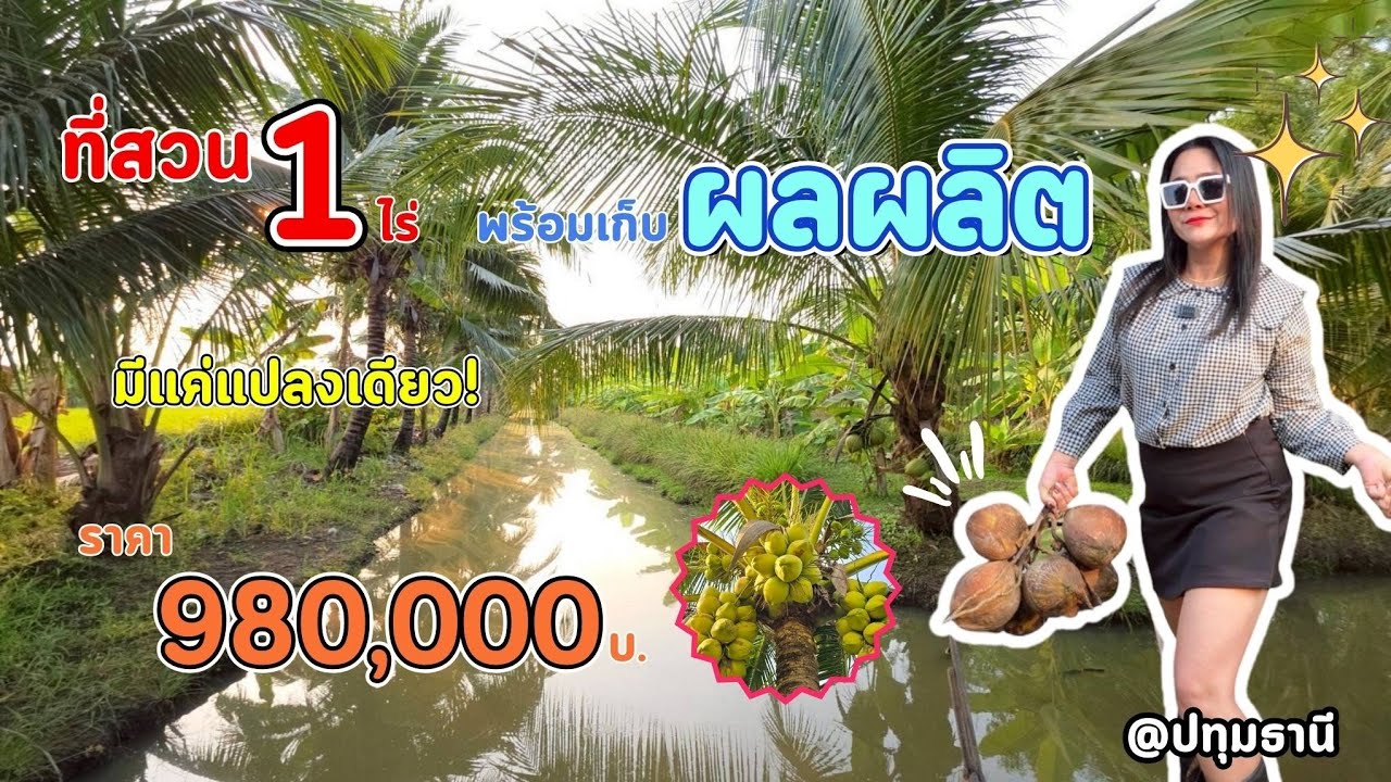 📢ขายด่วนๆๆ..จ้า #ที่สวน 🌿 พร้อมเก็บผลผลิต 1ไร่ 🟰 980000บาท