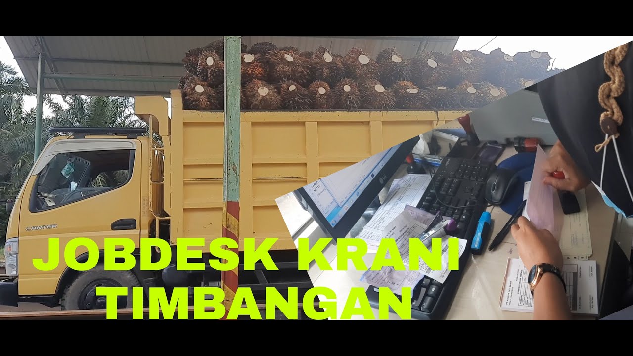 JOBDESK KRANI TIMBANGAN | TUGAS DAN TANGGUNG JAWAB KRANI TIMABANGAN
