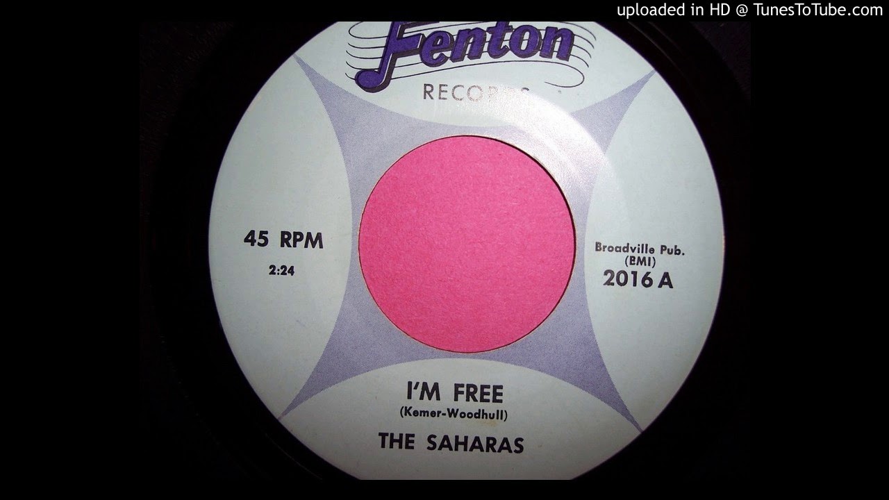 the Saharas - I'm free  60:s garage