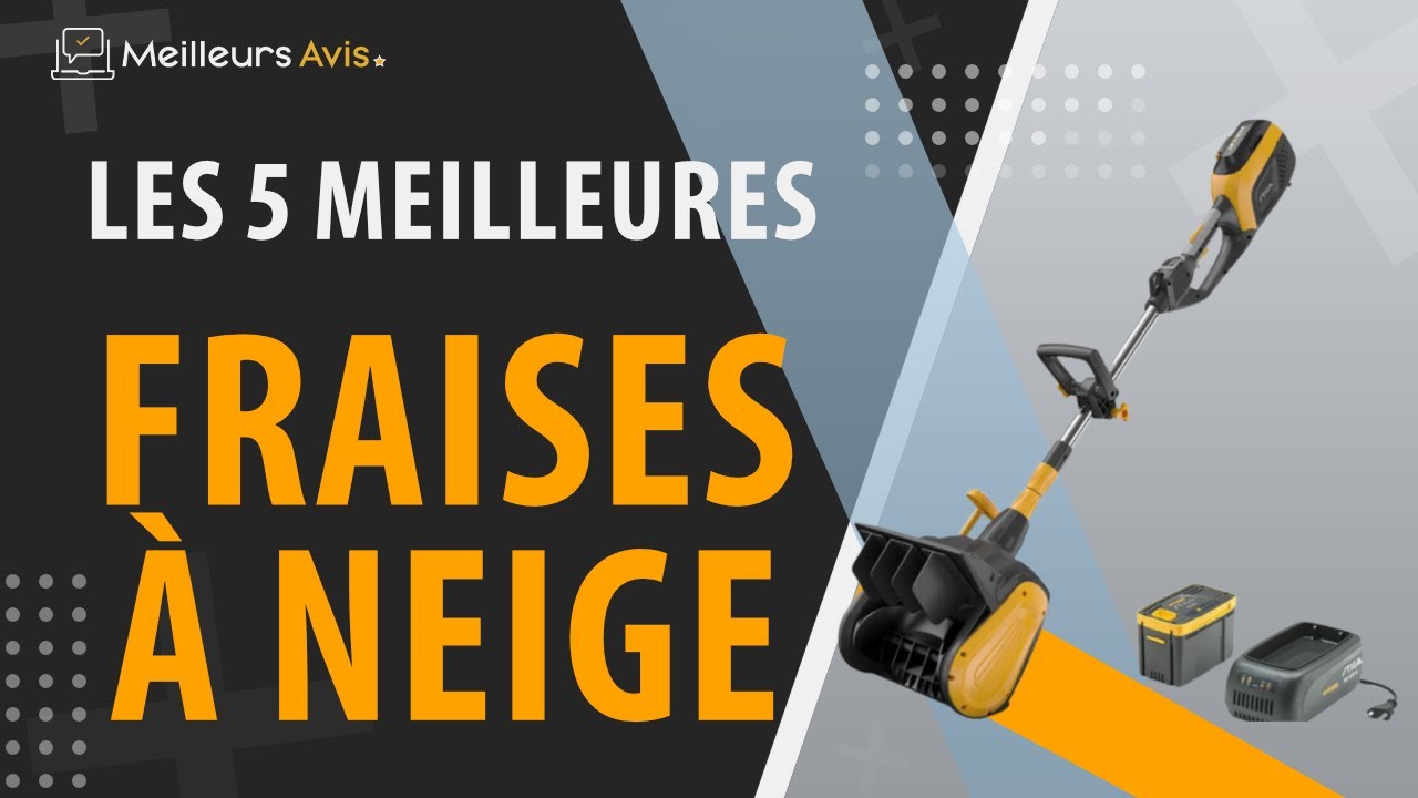 ⭐️ MEILLEURE FRAISE A NEIGE - Comparatif 2023