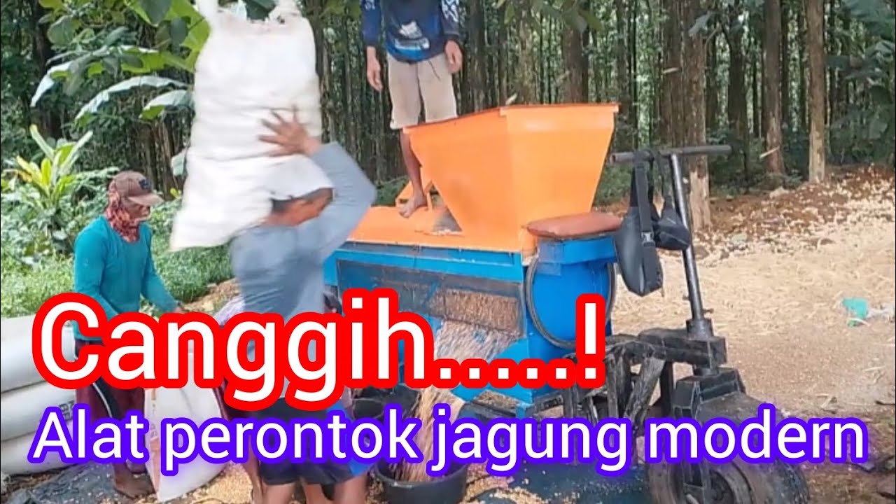 Alat perontok jagung modern saat ini #viralvideo #viralvideo #perontokjagung#framing 