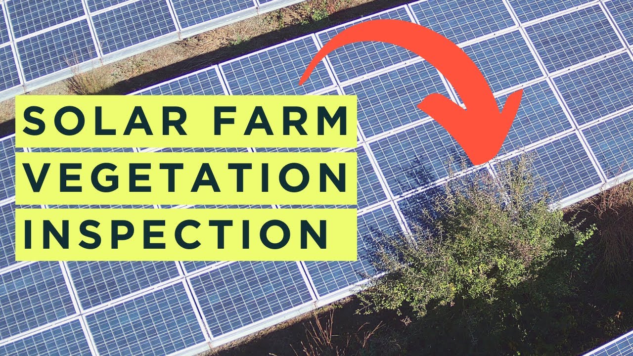 Drone Solar Farm Vegetation Inspection