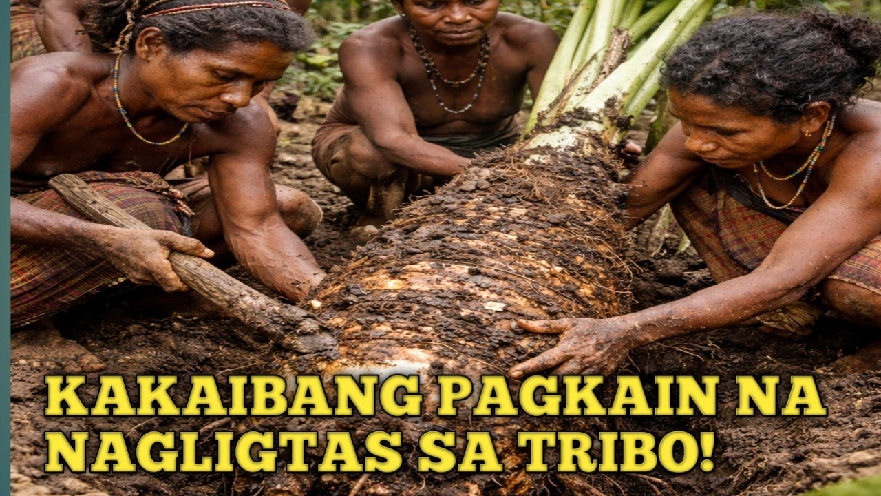 ITO ANG PAGKAIN NA NAGLIGTAS SA TRIBO SA TAGGUTOM! #food #tribalculture #tribalfoods 