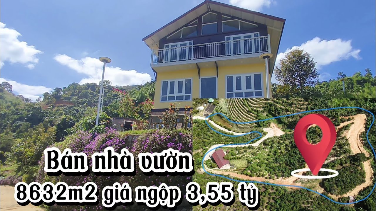 Bán nhà vườn view thoáng đẹp|| Diện tích 8632m2 sổ đỏ riêng|| Đường xe hơi tận nơi 