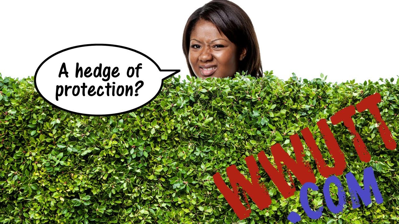 What is a Hedge of Protection?