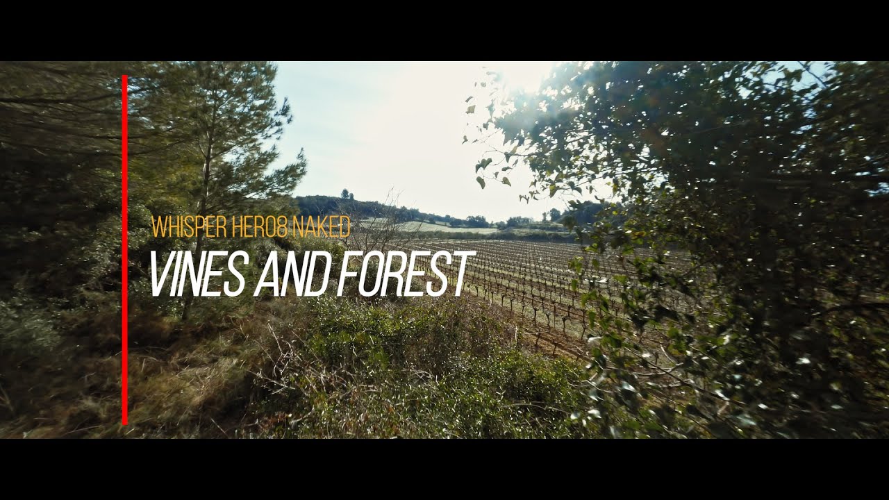 The amazing cinematic Whisper Steadywhoop in action into vines and forest in the south of France