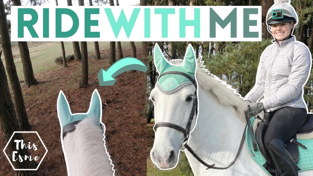 GoPro Ride a Horse in the Forest with Me! AD Groom Tack Up and Get Ready with Me | This Esme