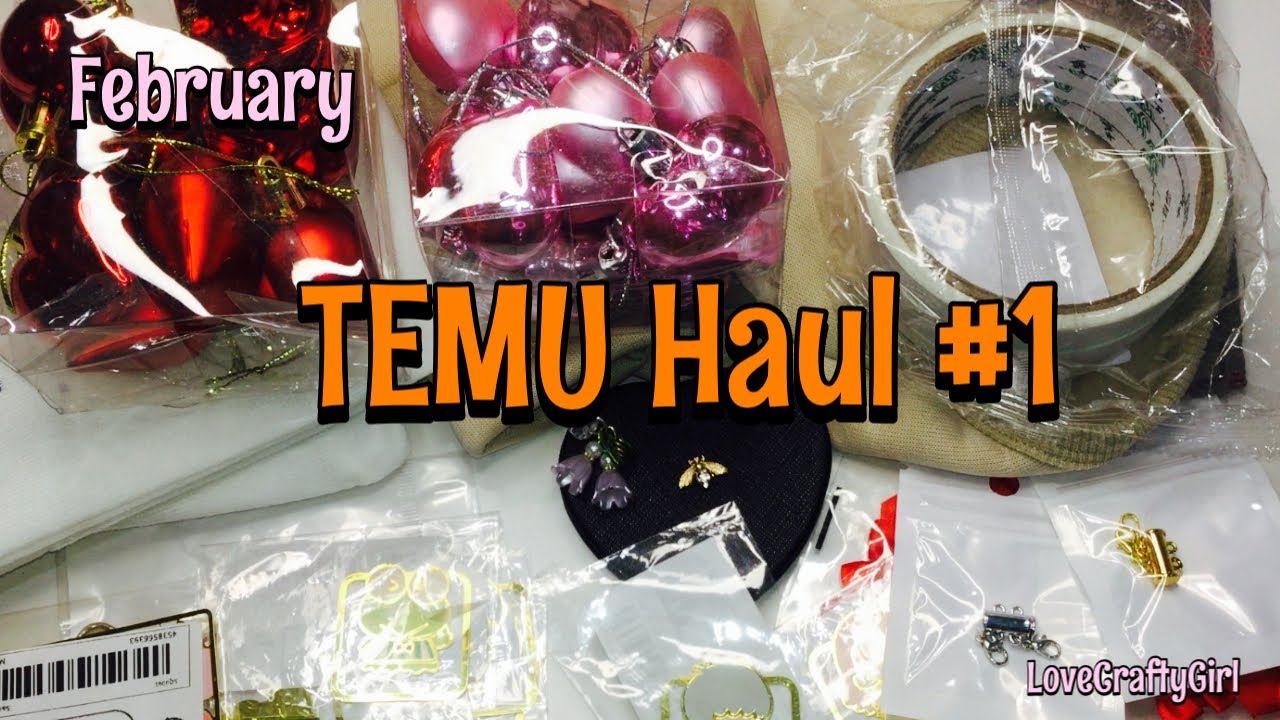 The Month of February TEMU Haul #1